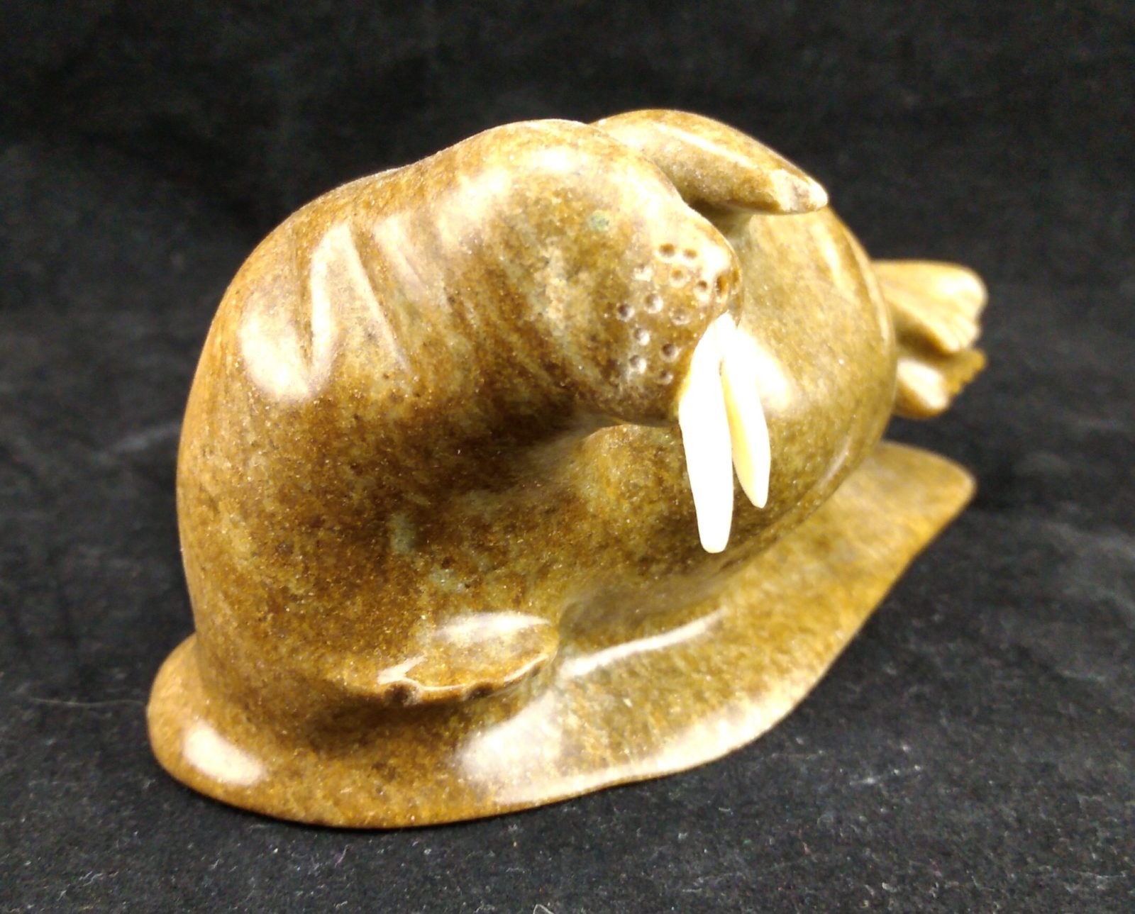Walrus, Soapstone Walrus