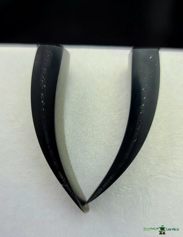 Baleen Claw Earrings