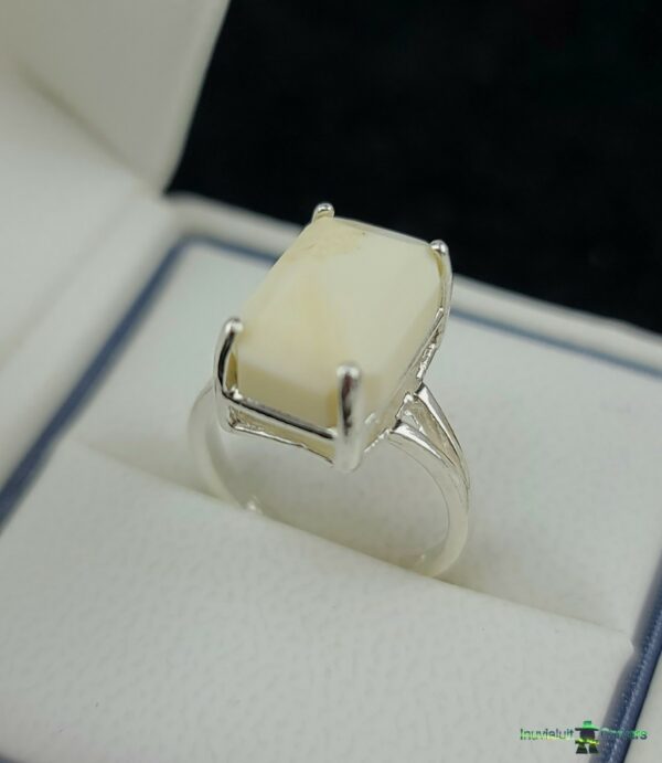 Walrus Ivory Ring