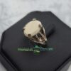 Mammoth Ivory Ring - Image 2