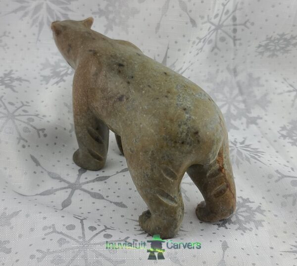 Polar Bear - Image 3