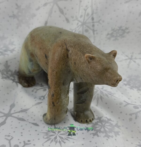 Polar Bear - Image 4