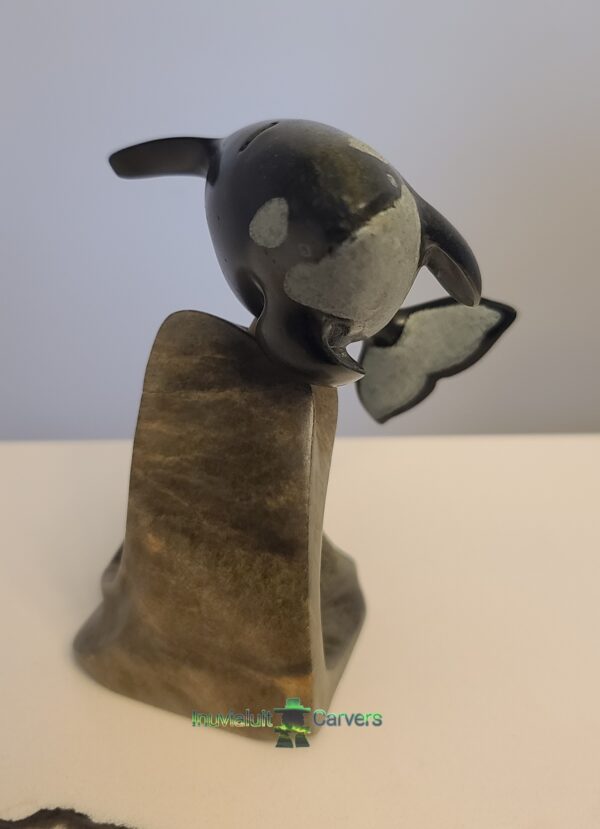 Orca Carving - Image 4