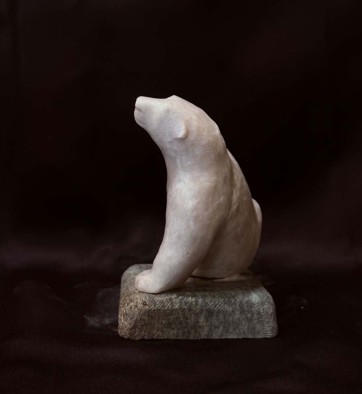 "Sitting Polar Bear" - Image 2